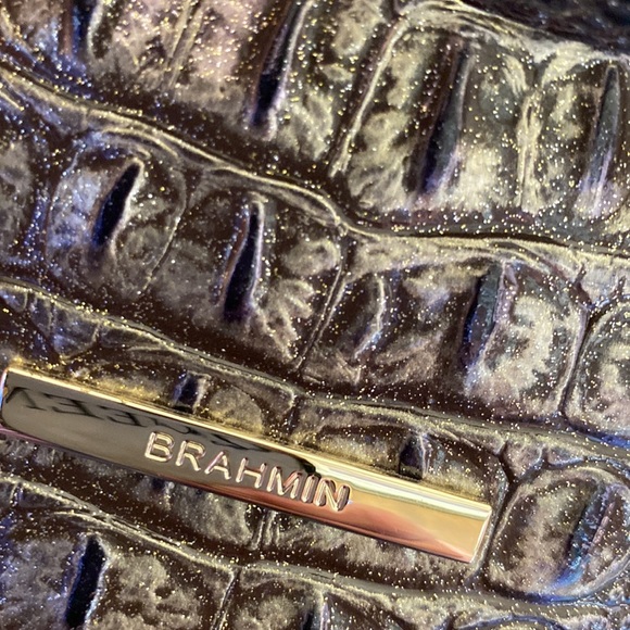 Brahmin mini Asher - Picture 7 of 9